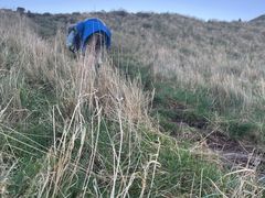 -亚瑟王座