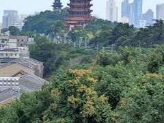 -黄鹤楼公园(黄鹤楼)