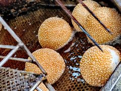 -汪记鲜鱼糊汤粉(沈阳路总店)