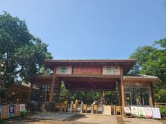 -海口火山口国家地质公园
