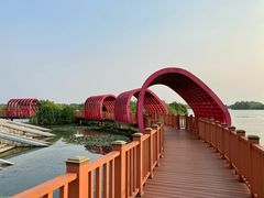 -芒洲湿地公园
