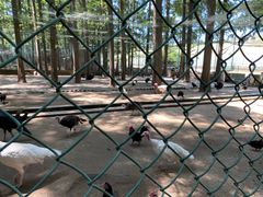 -南京金牛湖风景区