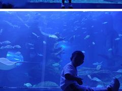 -多彩贵州城极地海洋世界