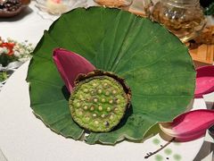 -叶叶菩提(太原别墅店)