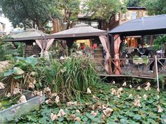 -大汗烧烤滩羊馆(清水河公园店)