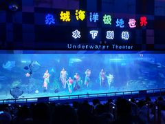 -泉城欧乐堡海洋极地世界