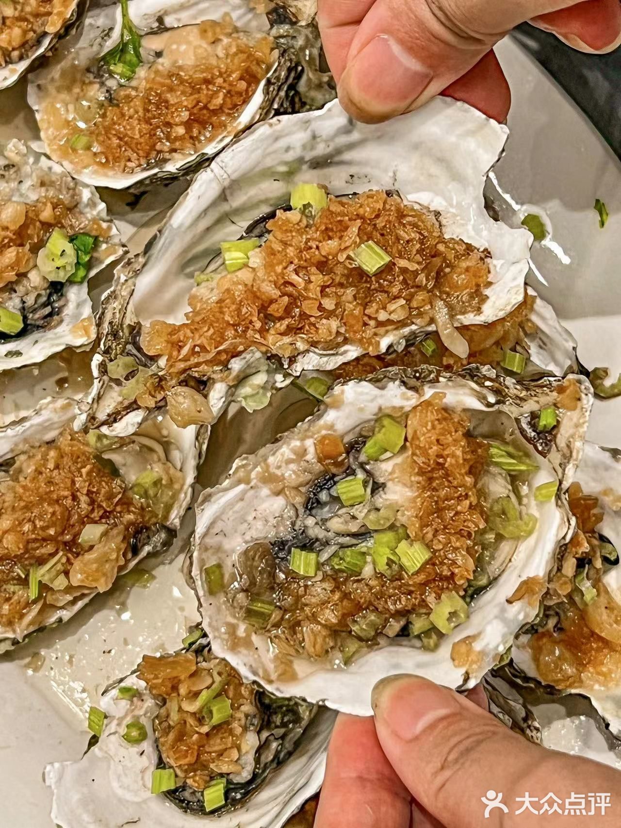 🌊海岛游的幸福高光时刻