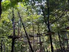 -沂蒙山旅游区云蒙景区(蒙山国家森林公园)
