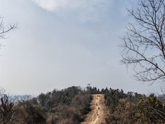 -青龙山国家森林公园