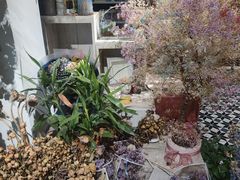 -雕刻时光咖啡馆(交大店)