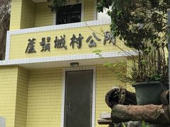 -南丫岛