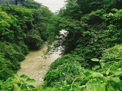 -水岸庭院·乡村柴火鸡