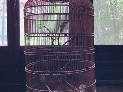 -王家大院