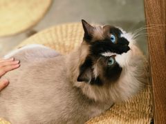 -seeu coffee(江滩店)