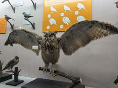 -青藏高原自然博物馆