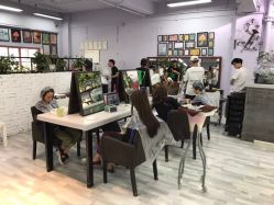 -T8 SALON