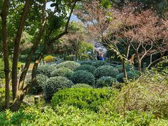 -十八棵（老龙井）御茶园(老龙井店)