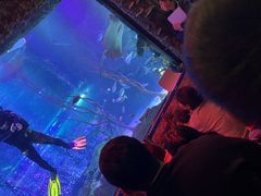 -沈阳海洋探索中心