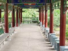 -二一九公园