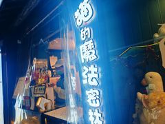 -猫的魔法密林(衣裳街店)
