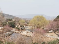 -北京西山国家森林公园