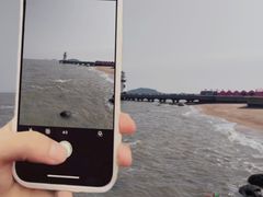 -爱情邮局