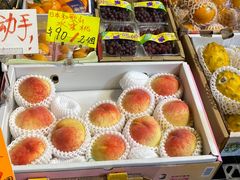 -油麻地果栏