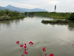 -三垟湿地