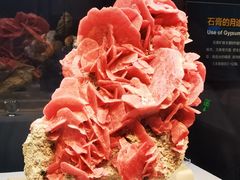 -湖南省地质博物馆