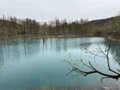 -青池