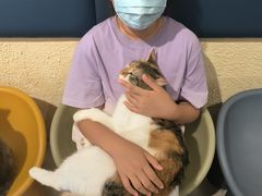 -平行世界·猫咖(首经贸店)