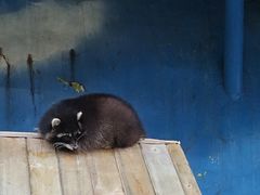 -栾川竹海野生动物园
