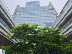 -金沙湖公园