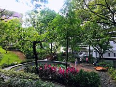 -香港大学