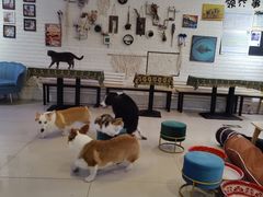 -平行世界·猫咖(首经贸店)