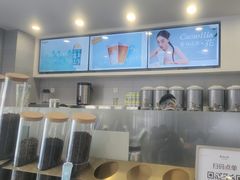 -雾与山茶(大禹城店)