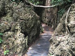 -鹅銮鼻公园
