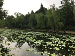 -近春园遗址