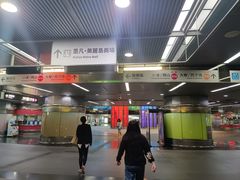 -捷运美丽岛站(The Dome of Light)