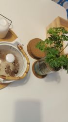 -FACE·日本小颜矫正美容整骨サロン