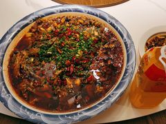 -新概念来凤鱼(璧山店)