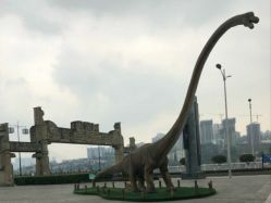 -恐龙探索乐园(磁器口店)