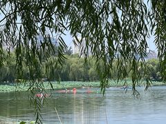 -WhaleSports户外水上运动俱乐部(朝阳公园店)