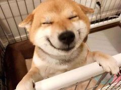 -小厨娘淮扬菜(板桥一店)