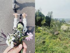 -樱桃山旅游景区