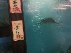 -万山楼海鲜酒家·二十三年老字号