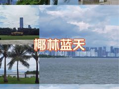 -深圳湾公园(南山区)