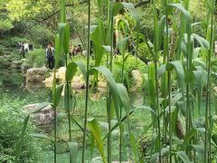 -黄公望隐居地