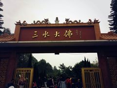 -三水森林公园