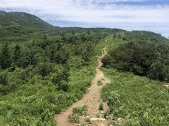 -北京鹫峰国家森林公园